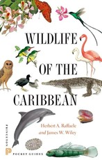 Wildlife of the Caribbean