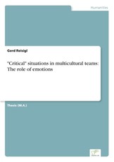 Critical situations in multicultural teams