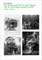 The Cyclop: A Monumental Utopia by Tinguely, Saint Phalle, and Their Artist Friends