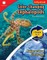 Color-Changing Cephalopods & Making an Ocean Ecosystem