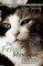 The Feline Mystique