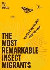 The Most Remarkable Insect Migrants