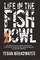 Life in the Fishbowl