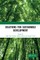 Solutions for Sustainable Development