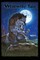 Werewolf Tale