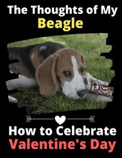 The Thoughts of My Beagle