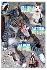 Cat Tosha Adventures