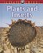 Plants and Insects