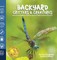 Backyard Critters & Creatures