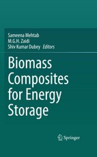 Biomass Composites for Energy Storage