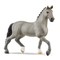 SCHLEICH HORSE CLUB Cheval de Selle Francais veislės žirgas