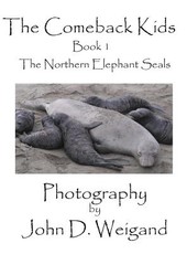 "the Comeback Kids" Book 1, the Northern Elephant Seals