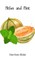 Melon and Mint