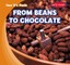From Beans to Chocolate