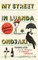 My Street in Luanda: Selected Stories