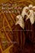 Sisters and Brothers of the Common Life
