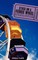 Stuck on a Ferris Wheel: An Actor's Guide to Enjoying the Ride While Keeping Your Feet on the Ground