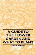 A Guide to the Flower Garden and What to Plant