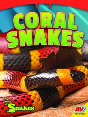Coral Snakes