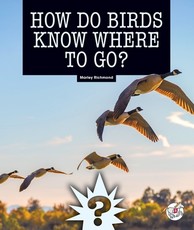 How Do Birds Know Where to Go?