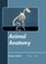 Animal Anatomy