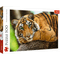 TREFL dėlionė „Tiger“, 500 det.