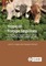 Tropical Forage Legumes