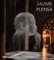 Jaume Plensa: One Thought Fills Immensity