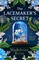 The Lacemaker's Secret