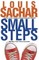 Small Steps