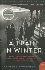 A Train in Winter