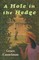 A Hole in the Hedge