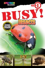 BUSY! Insects