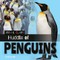 Huddle of Penguins