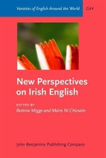 New Perspectives on Irish English