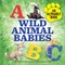 Wild Animal Babies