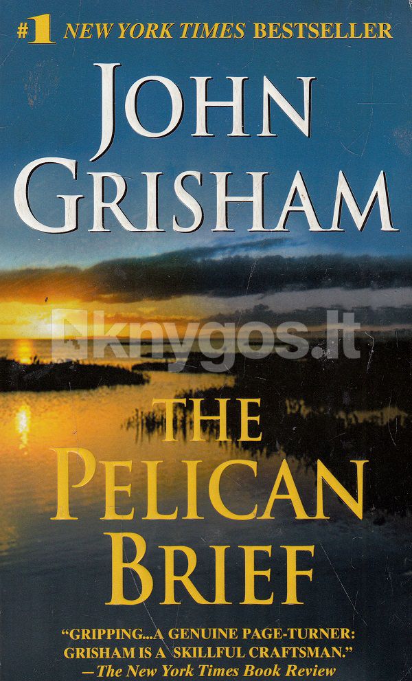 the pelican brief novel