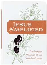Jesus Amplified
