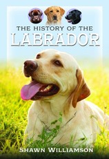 The History of the Labrador
