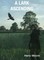 Lark Ascending