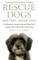 Rescue Dogs and Their Second Lives