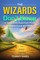 The Wizards Don't Know