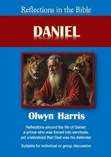 Reflections in the Bible Daniel