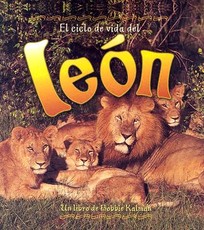 El Ciclo de Vida del LeÃ³n (the Life Cycle of a Lion)