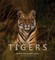 Remembering Tigers