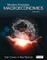 Modern Principles of Macroeconomics