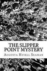 The Slipper Point Mystery
