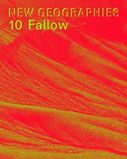 New Geographies 10