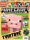 Minecraft. Žurnalas 2019/2