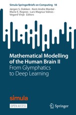 Mathematical Modelling of the Human Brain II